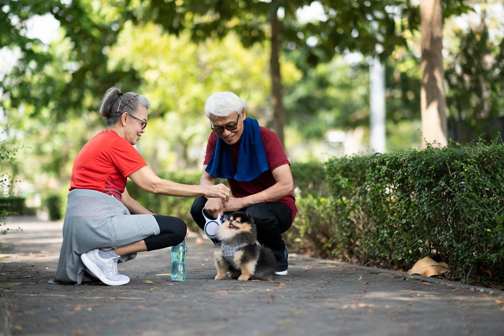 一對年輕男女在公園裡與狗狗玩耍