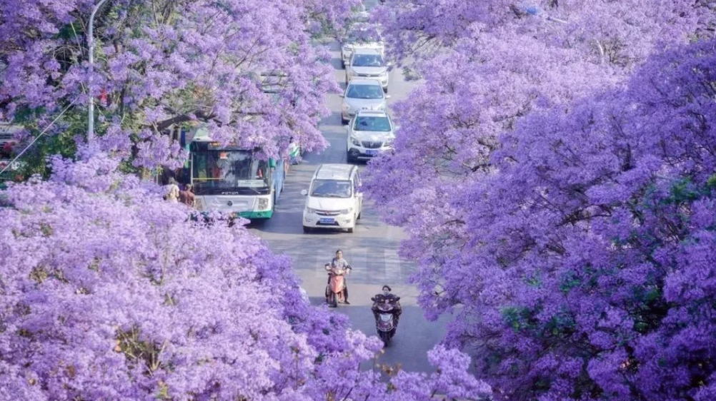 【昆明自由行】昆明最全旅游攻略，必去的景点、美食、行程规划