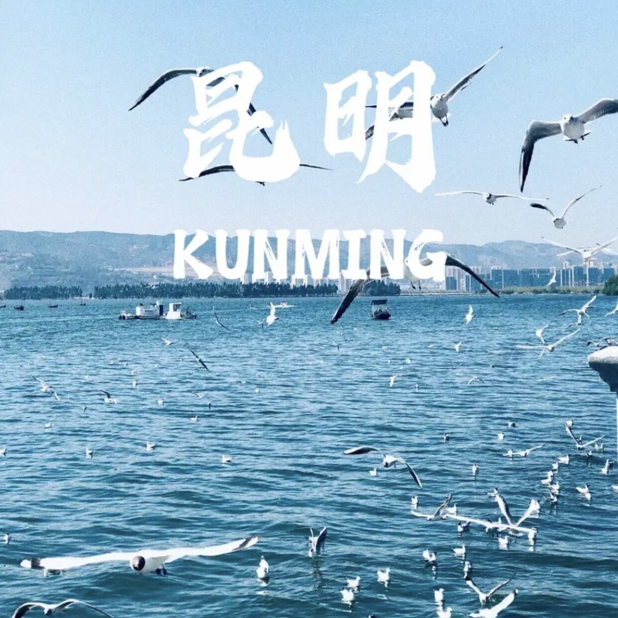 2025雲南昆明自由行全攻略｜5天4夜路線+避坑指南